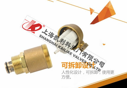 AVAX自動排氣閥可拆卸設(shè)計(jì)